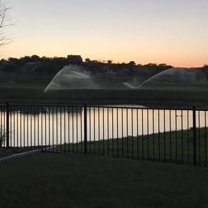 Meet your Posher, Lynne